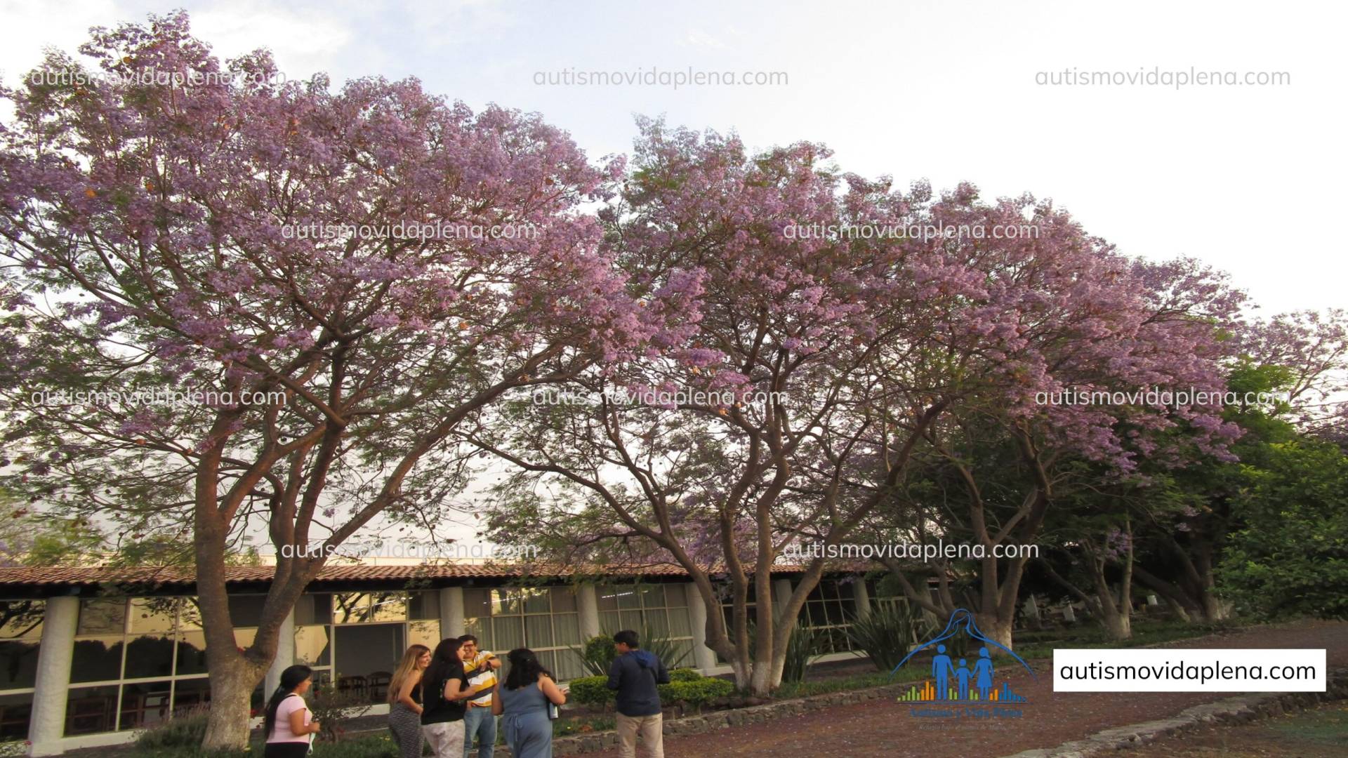Centro integral de atención, acogida y acompañamiento para personas autistas y sus familias en México.