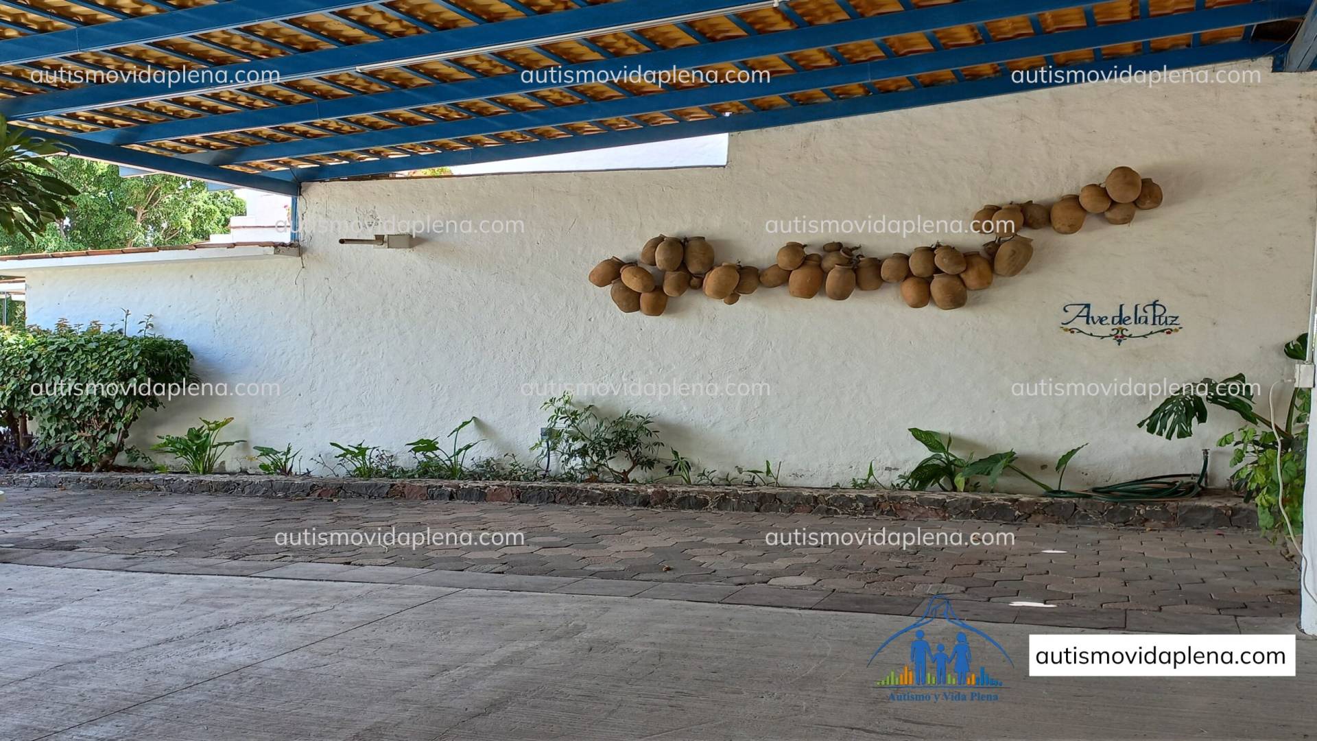 Centro integral de atención, acogida y acompañamiento para personas autistas y sus familias en México.