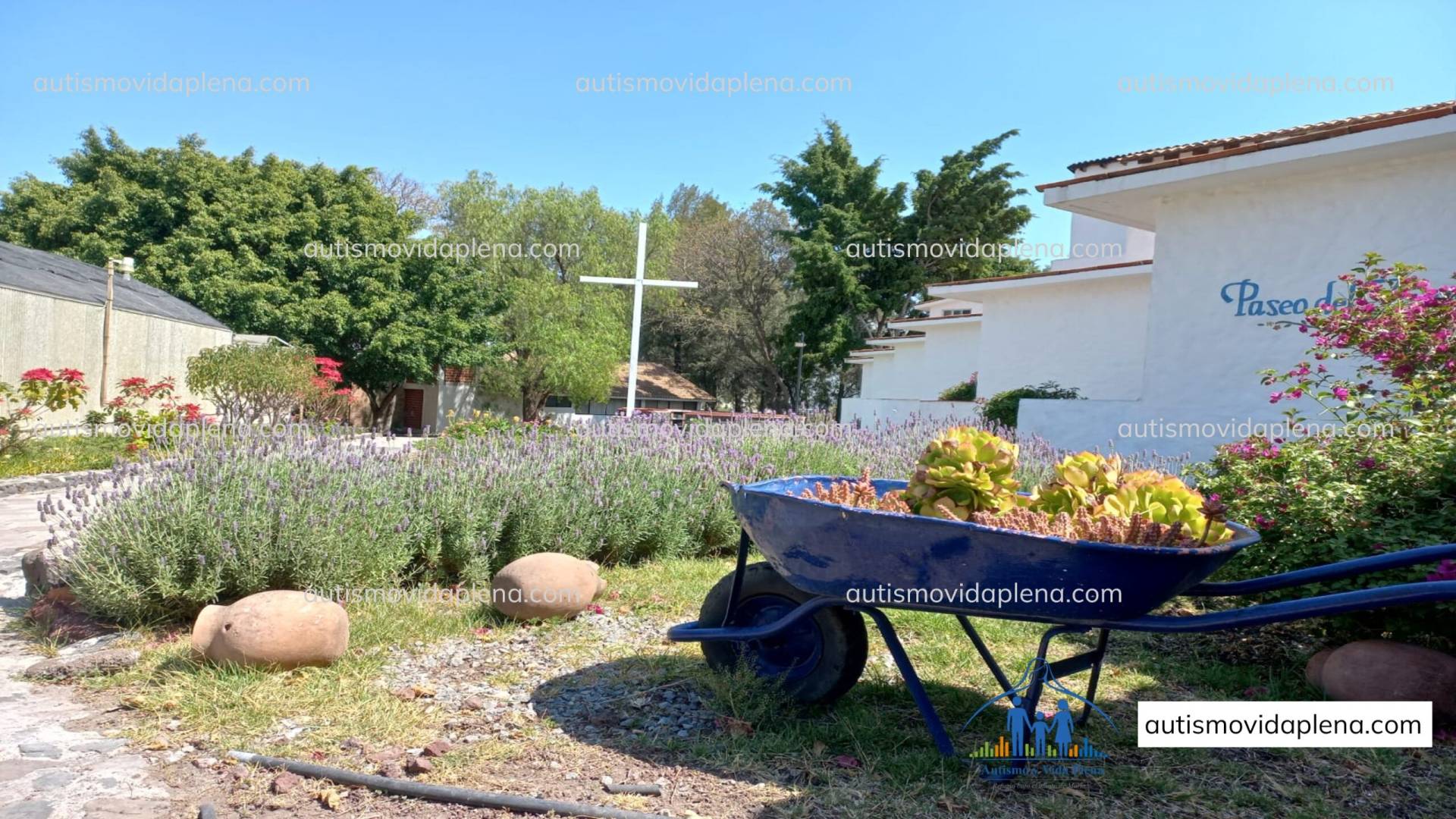 Centro integral de atención, acogida y acompañamiento para personas autistas y sus familias en México.