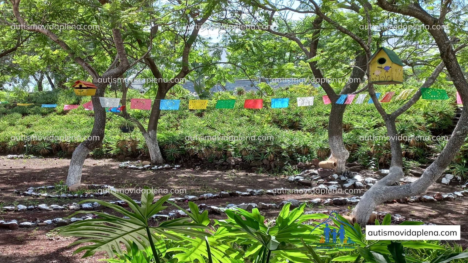 Centro integral de atención, acogida y acompañamiento para personas autistas y sus familias en México.