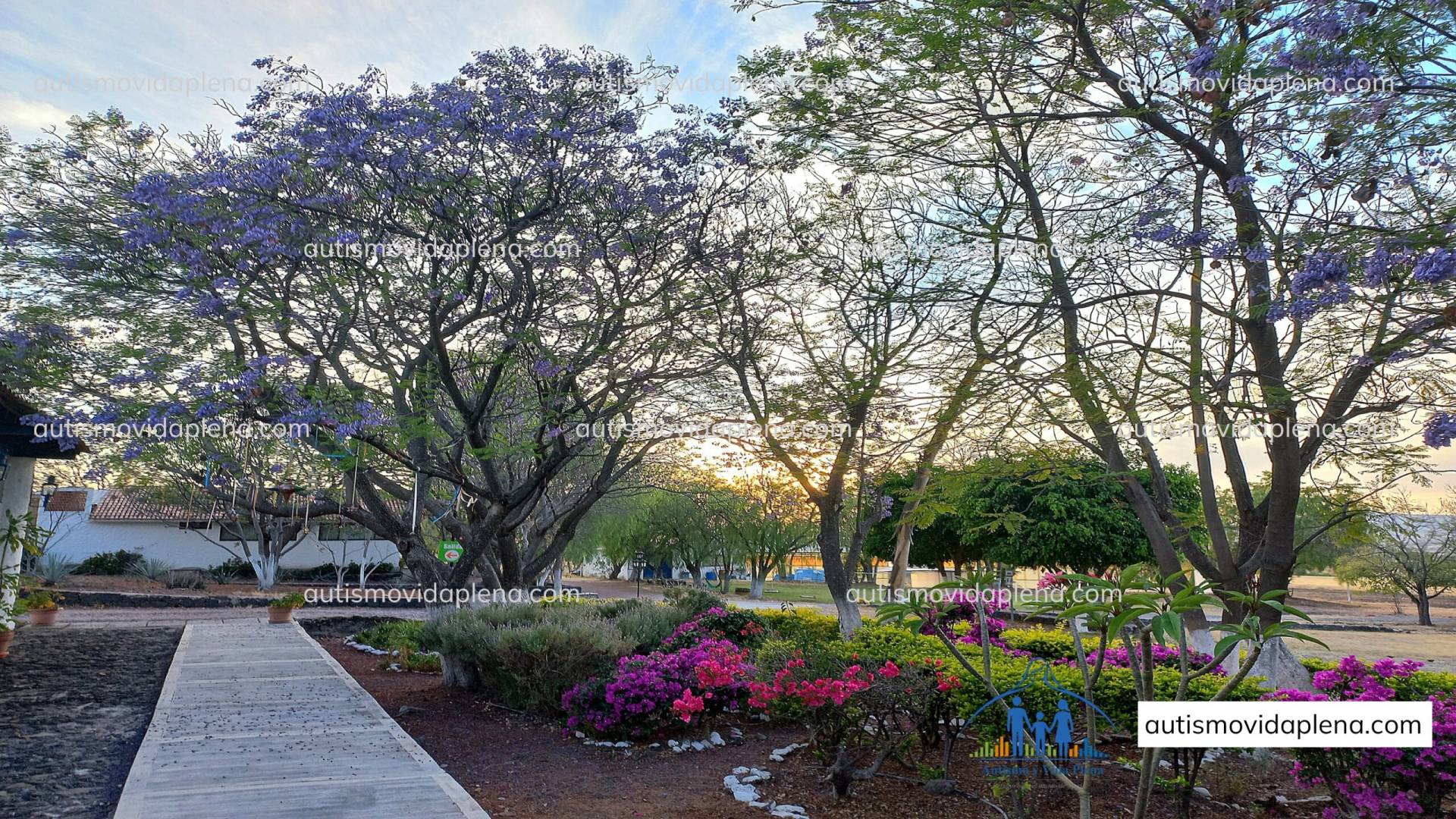 Centro integral de atención, acogida y acompañamiento para personas autistas y sus familias en México.