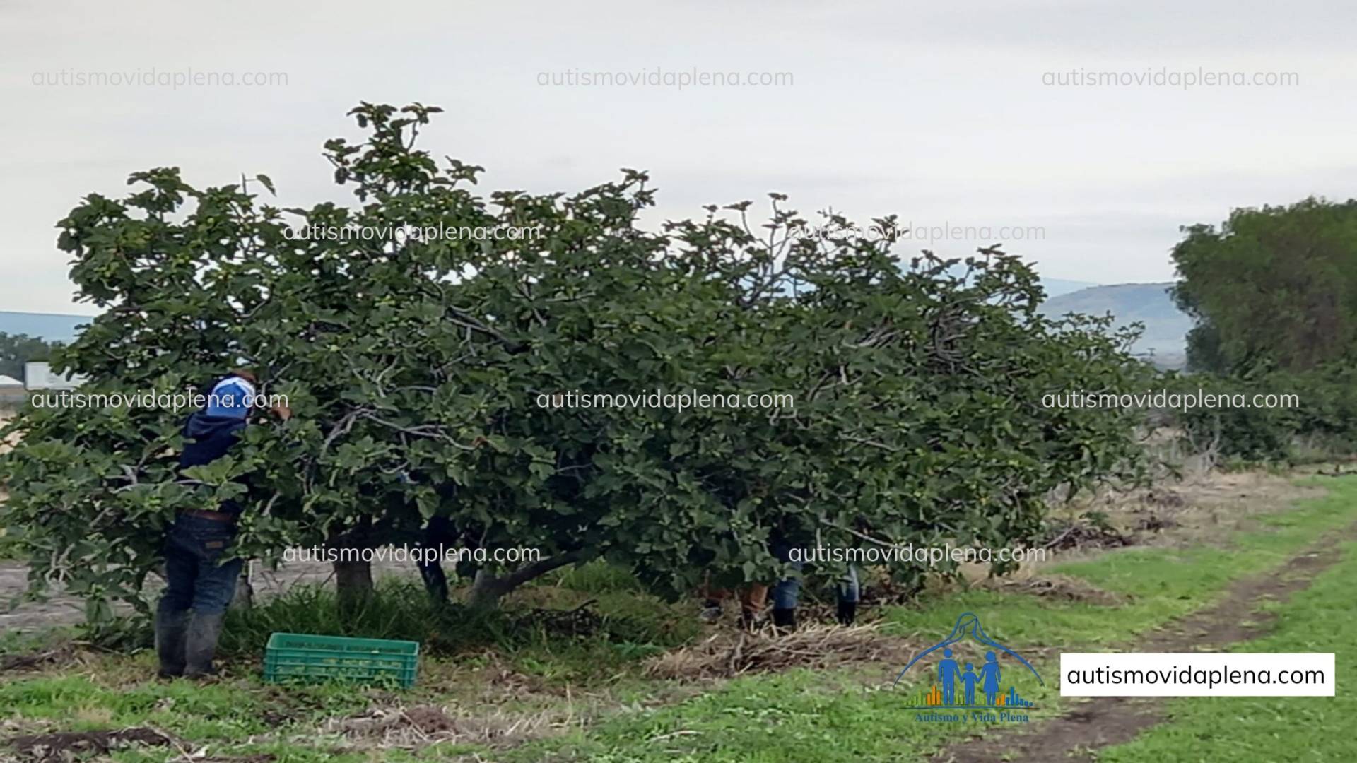 Centro integral de atención, acogida y acompañamiento para personas autistas y sus familias en México.