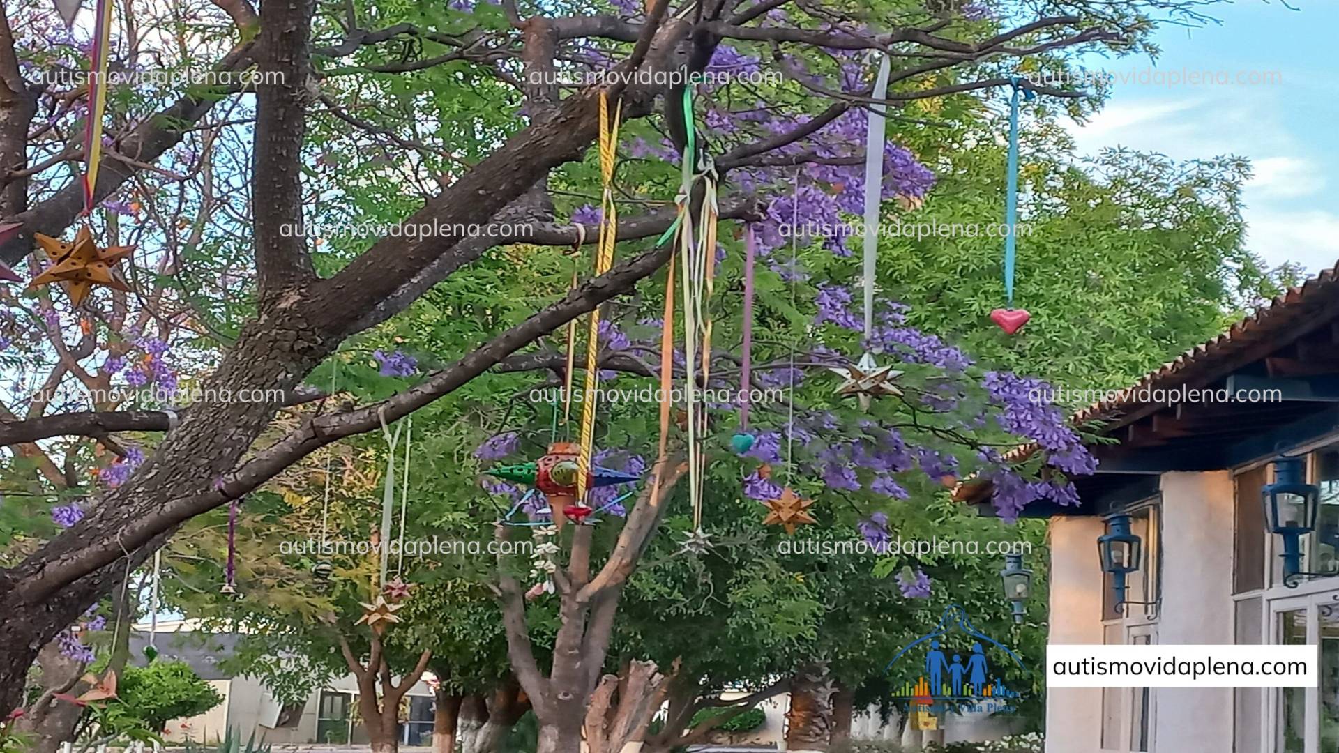 Centro integral de atención, acogida y acompañamiento para personas autistas y sus familias en México.
